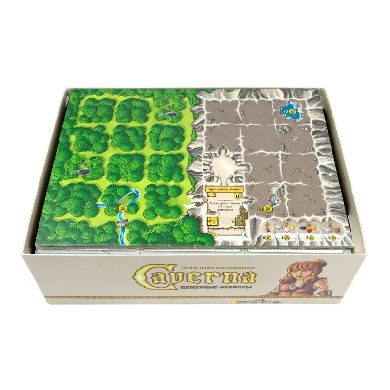Органайзер для настольной игры Caverna + дополнения / Caverna + expansions organizer