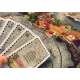 Настольная игра Конкордия (Concordia)