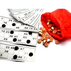 Лото в блистере (24х23,5х3 см) (P9070)