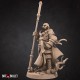 Мініатюри для НРІ Alistair