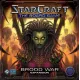 Starcraft: Brood War Expansion (Старкрафт дополнение)