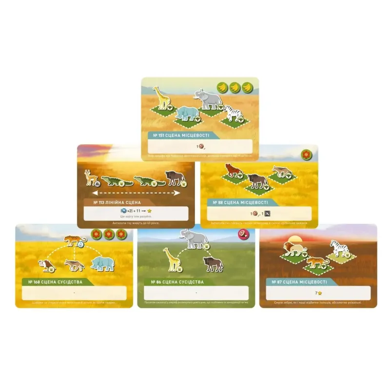 Настільна гра Дика Природа: Серенгеті (Wild: Serengeti) UA