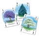 Настольная игра Арборетум (Arboretum) UA