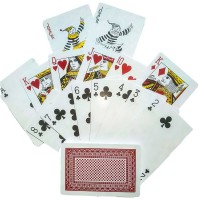 Карты игральные пластиковые "Wei Kang" (9,5х6,5х2,3 см) 24970RED