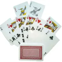 Карты игральные пластиковые "Wei Kang" (9,5х6,5х2,3 см) 24970RED