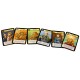 Цитадели (Citadels) (новое издание) рус.