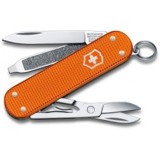 Складной нож Victorinox CLASSIC SD 0.6221.L21