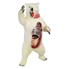 Об`ємна модель 4D Master  Білий ведмідь