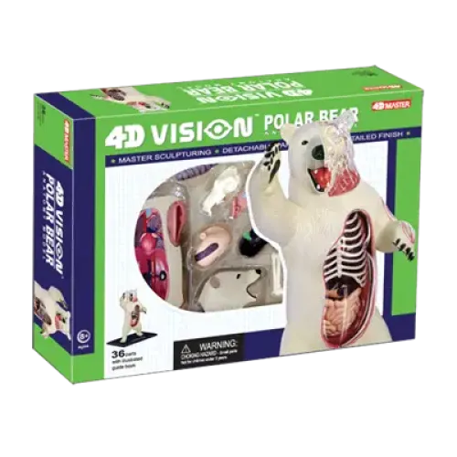 Моделирование Об`ємна модель 4D Master Білий ведмідь