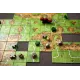 Каркассон Дворяни та вежі (Carcassonne Nobles and Towers)