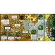 Arkham Horror: Innsmouth Horror Expansion