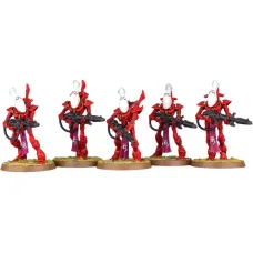 ELDAR WRAITHGUARD