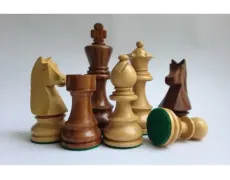 Німецький Стаунтон №4 шишам