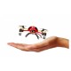 Квадрокоптери Квадрокоптер SH Lady Bug RTF 2,4 ГГц (SH-6043 Red)