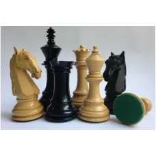 Колумбійський кінь №6