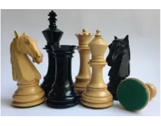 Колумбійський кінь №6