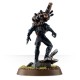 Space Marines OFFICIO ASSASSINORUM CULEXUS ASSASSIN