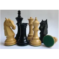 Колумбийский конь №6