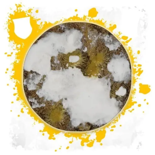 Краски TEXTURE: VALHALLAN BLIZZARD (24ML)