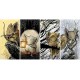 Миша Стража: рольова гра (коробкова версія) (Mouse Guard Roleplaying Game Boxed Set, 2nd Ed.)