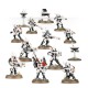 TAU START COLLECTING! TAU EMPIRE