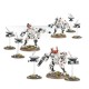 TAU START COLLECTING! TAU EMPIRE