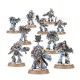 Space Wolves SPACE WOLF PACK