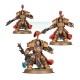 Space Marines ADEPTUS CUSTODES ALLARUS CUSTODIANS