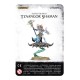 Age Of Sigmar TZEENTCH ARCANITES TZAANGOR SHAMAN