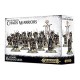 Age Of Sigmar CHAOS WARRIORS