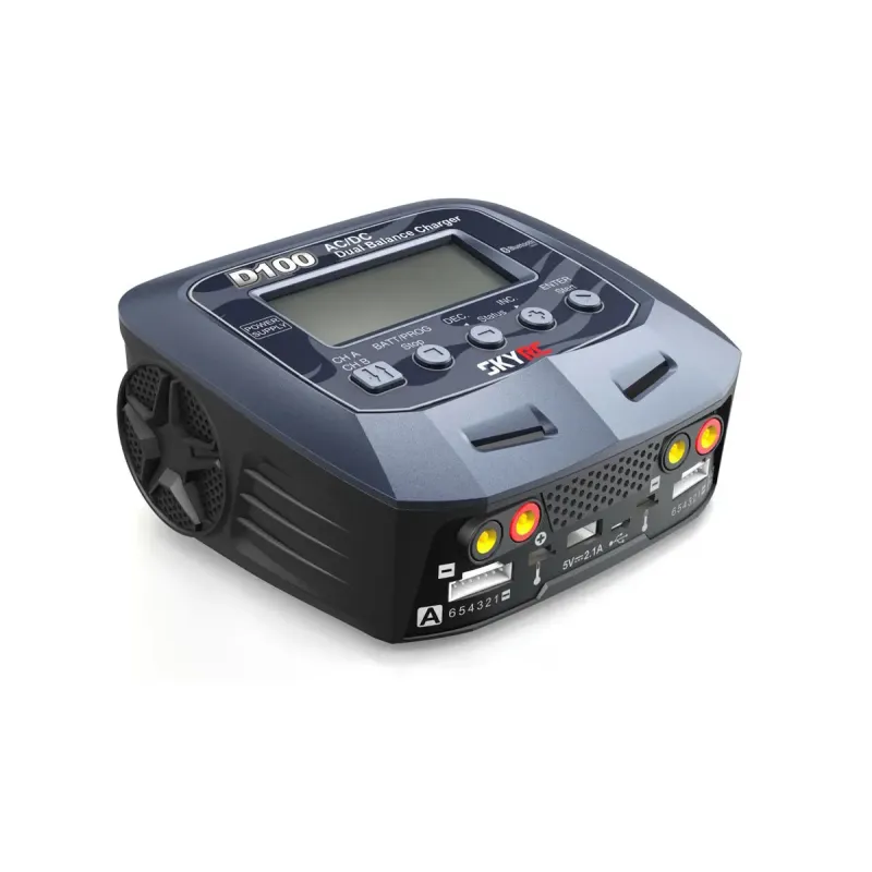 Зарядное устройство дуо SkyRC D100 V2 10A/100WxAC/200WxDC с/БП универсальное (SK-100131)
