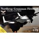Самолёты Беспилотный летательный аппарат Northrop Grumman Firebird