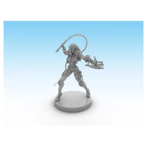 Настільна гра Клинок і Чаклунство. Набір героя: Морріган (Sword & Sorcery: Hero Pack – Morrigan)