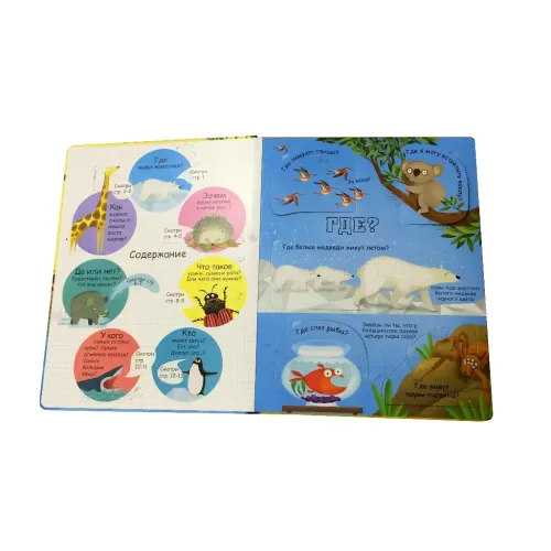 Настільна гра Питання та відповіді про тварин