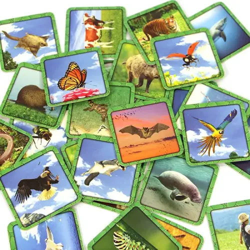 Специфіка Specific