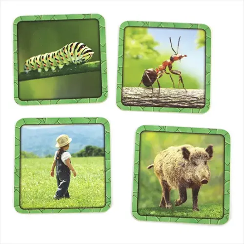 Специфіка Specific