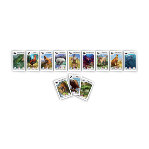 Настольная игра Картолиния: Животные (Cardline: Animals)