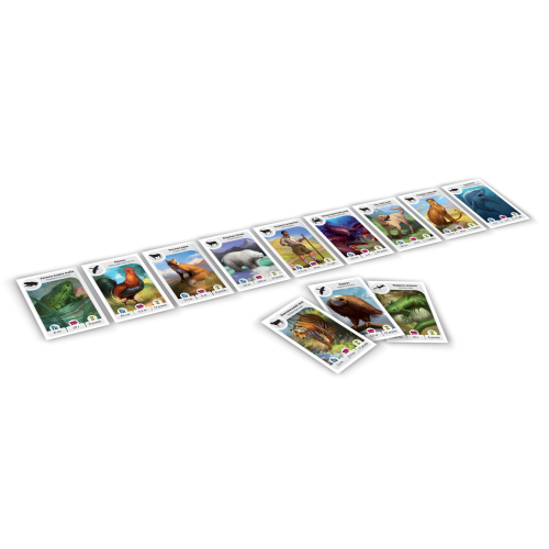 Настольная игра Картолиния: Животные (Cardline: Animals)