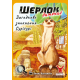 Настольная игра Шерлок детский. Загадочное исчезновение Суригури (Sherlock Junior: Suriguri)