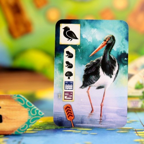 Настольная игра Левада. Вниз по течению (Meadow: Downstream)