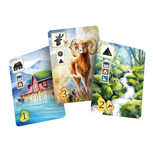 Настольная игра Левада. Вниз по течению (Meadow: Downstream)