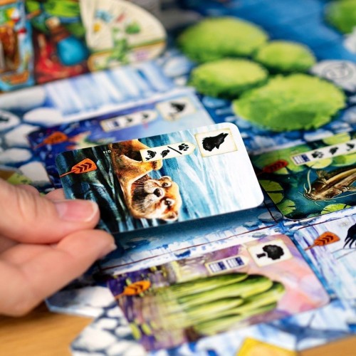 Настольная игра Левада. Вниз по течению (Meadow: Downstream)
