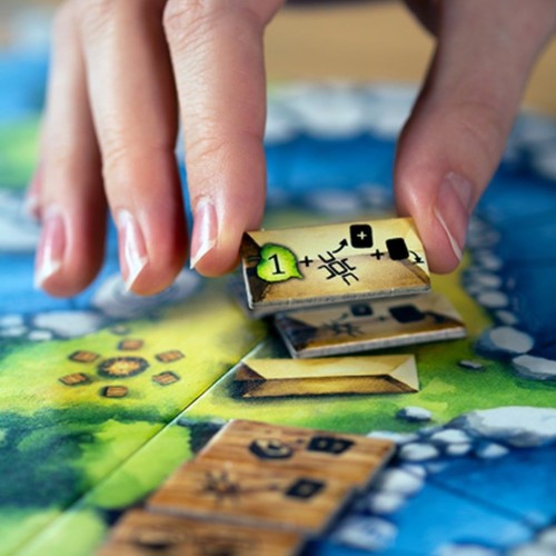 Настольная игра Левада. Вниз по течению (Meadow: Downstream)