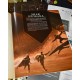Настільна гра Дюна. Пригоди в Імперії - Швидкий старт (Dune RPG Wormsign Quickstart Guide)