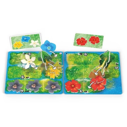 Настольная игра HUTAN: Жизнь в тропиках (HUTAN: Life in the Rainforest)