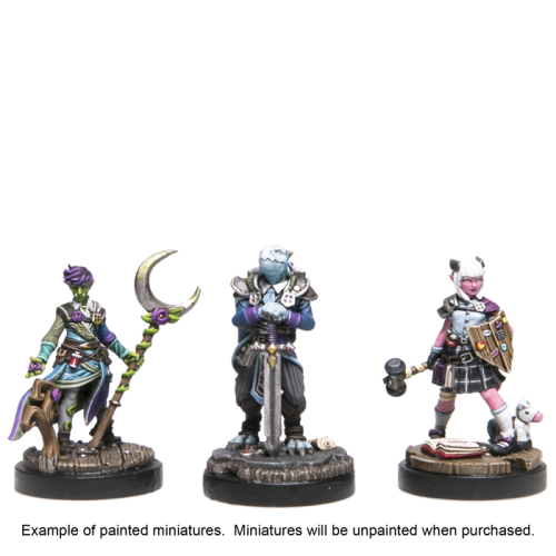 Настільна гра Adventures & Academia: First Class - Cunning & Divine Miniatures