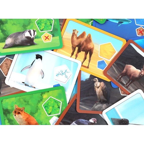 Настольная игра Планета (Planet)
