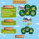 Настольная игра Дино остров