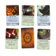 Настольная игра Ужас Аркхэма. Третья редакция: Во мраке ночи (Arkham Horror: Dead of Night)