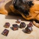 Кубики (дайси) Набір кубиків DOGS Dice Set: Luna (7)